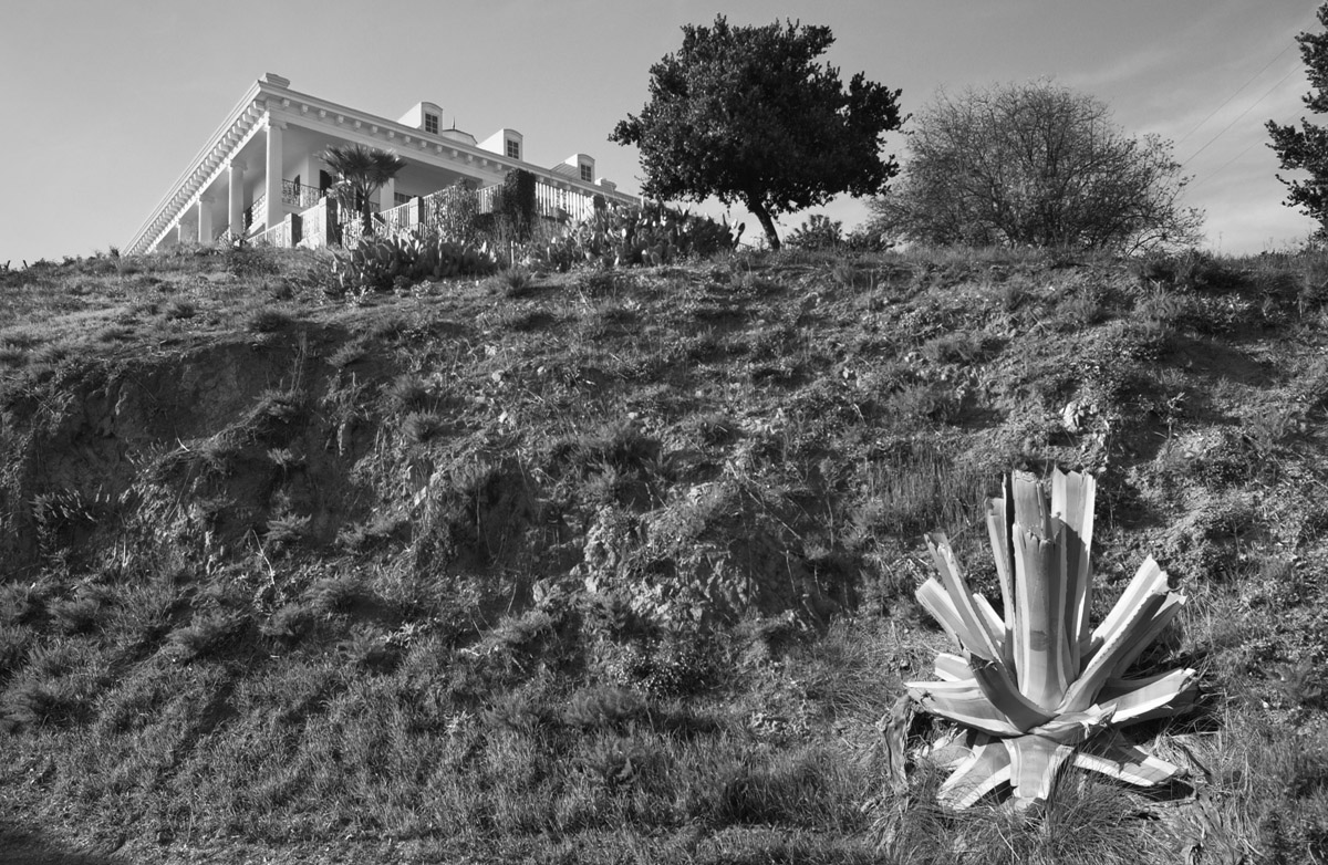 Photo by Douglas McCulloh