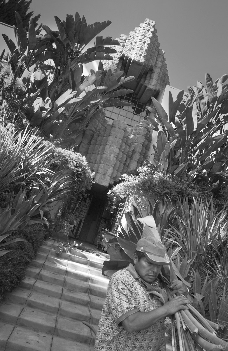 Photo by Douglas McCulloh